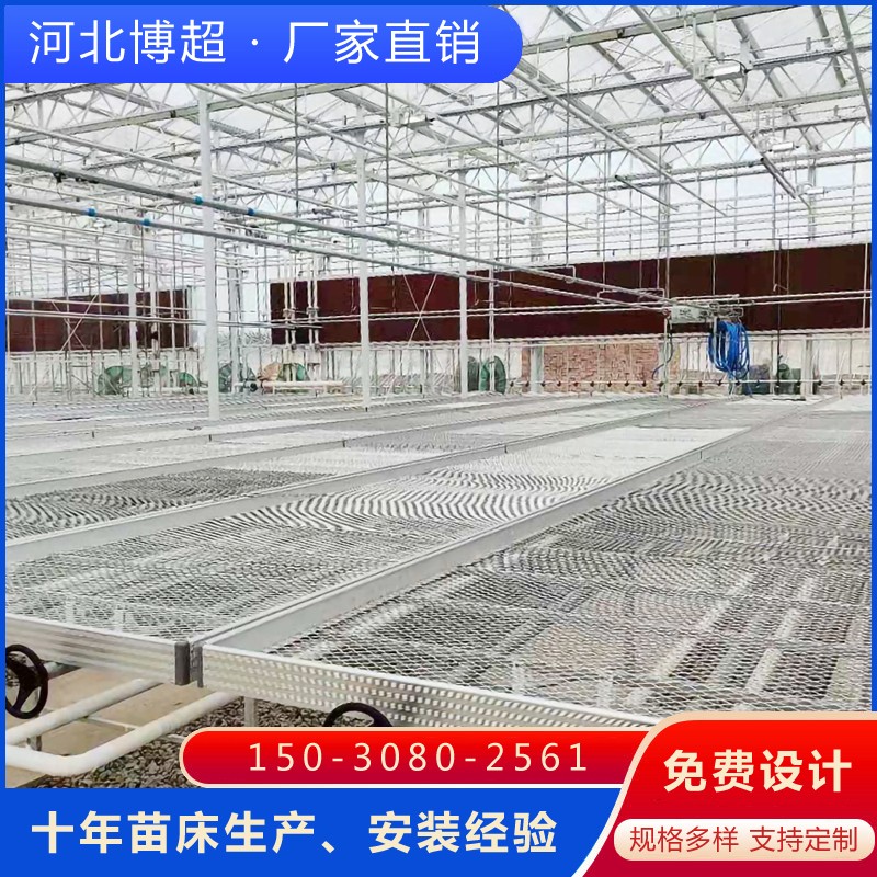 䓰�W(w��ng)Ƭ�Ƅ��紲