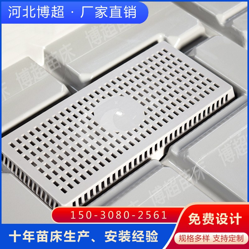 ��ϫ��P(p��n)