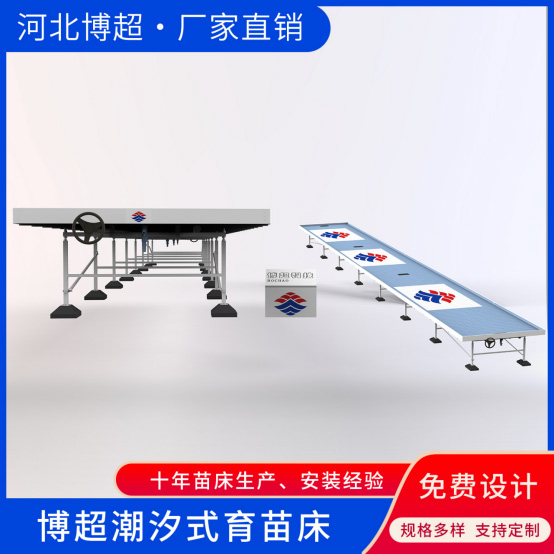 �������紲