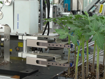 ������ȫ�Ԅ�(d��ng)�����紲��䲥�N�C(j��)Ѩ�P(p��n)�봲�C(j��)