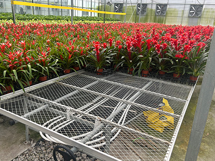 ����\�WƬ�Ƅ��紲