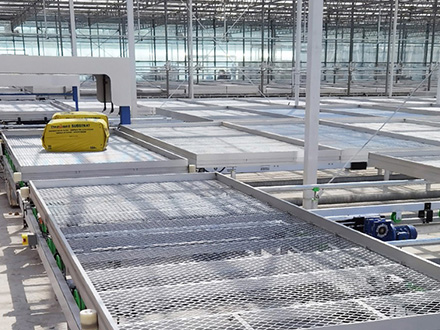 䓰�WƬ�����紲